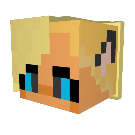 Good_Boi_Storm Minecraft avatar head, 3D render