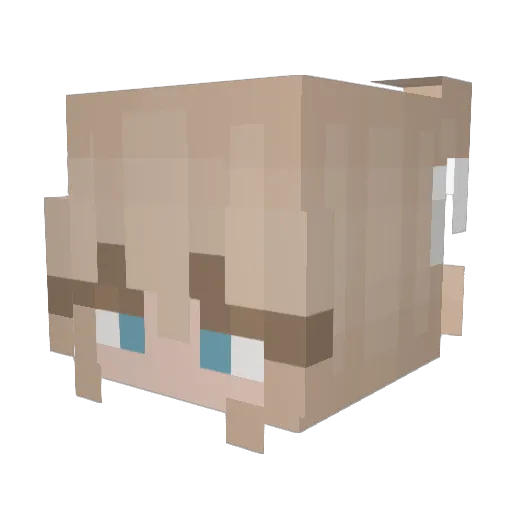 Good__soop Minecraft avatar head, 3D render