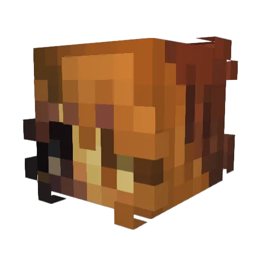 Good_endings Minecraft avatar head, 3D render