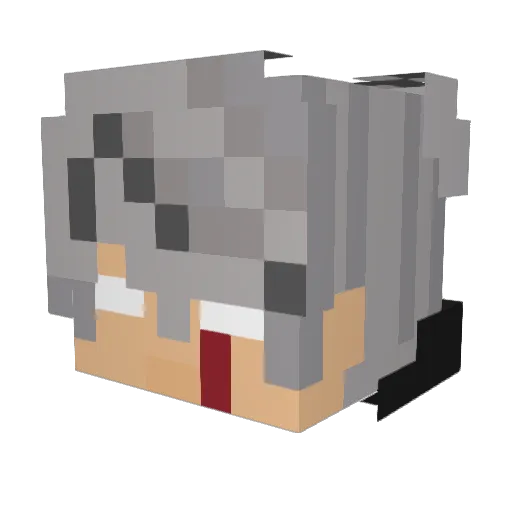 GoodbyeFlopa Minecraft avatar head, 3D render