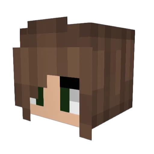 GoodbyeSarina Minecraft avatar head, 3D render