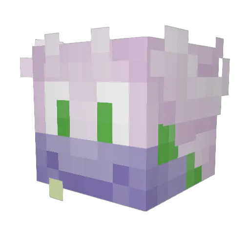 GoodraJon Minecraft avatar head, 3D render