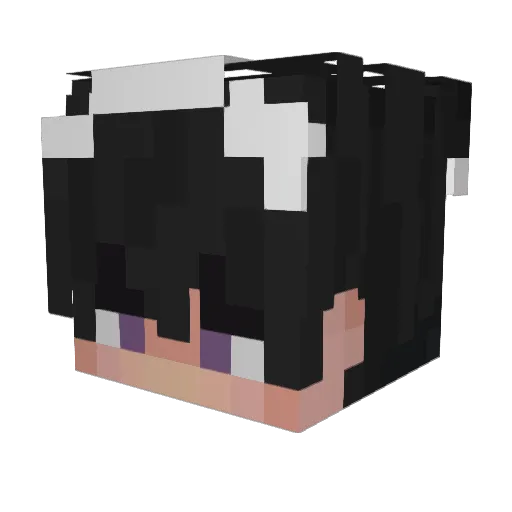 Goofie345 Minecraft avatar head, 3D render