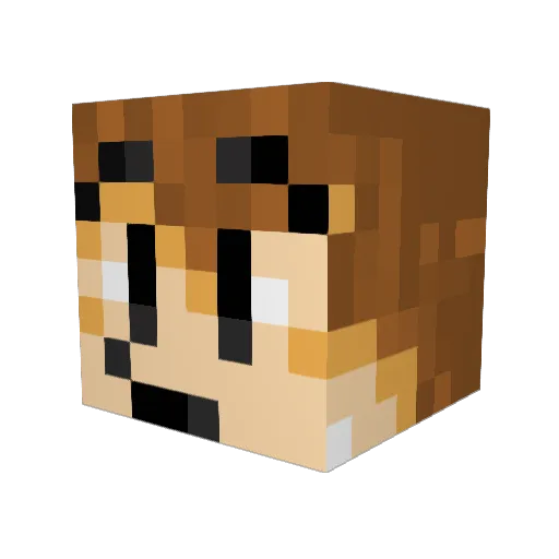 Goofydude_ Minecraft avatar head, 3D render