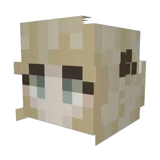 GoogaBooga69 Minecraft avatar head, 3D render