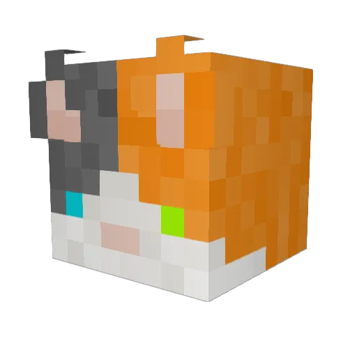 Googas_Gaming Minecraft avatar head, 3D render