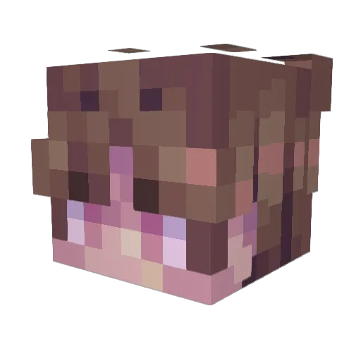 Googenhine Minecraft avatar head, 3D render