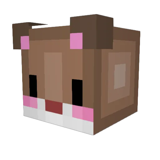 GoogieGutter Minecraft avatar head, 3D render