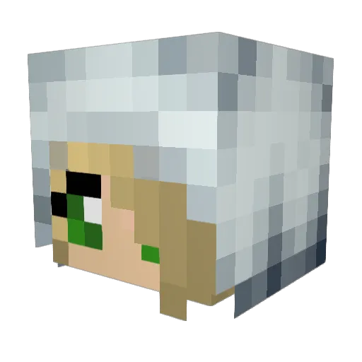 Goolzy Minecraft avatar head, 3D render