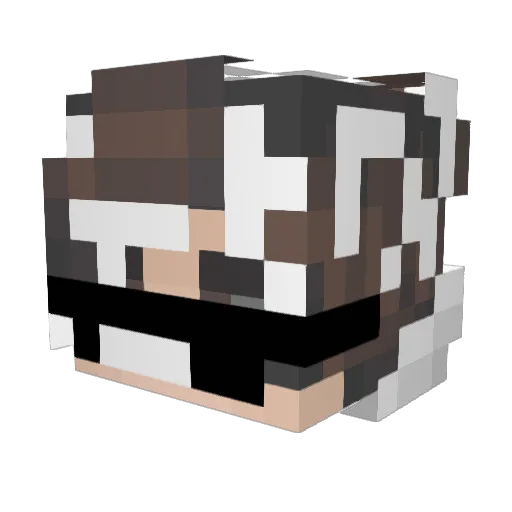 GoonToFrilled Minecraft avatar head, 3D render
