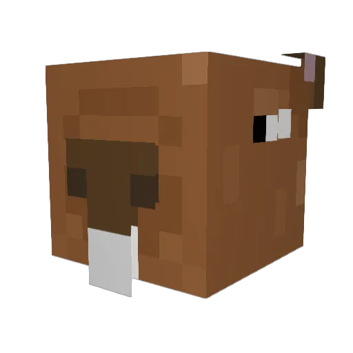 Goonfyx Minecraft avatar head, 3D render