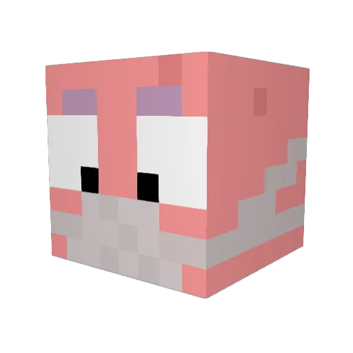 GoopDoop Minecraft avatar head, 3D render