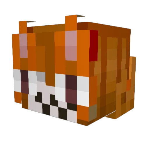 Goose132 Minecraft avatar head, 3D render