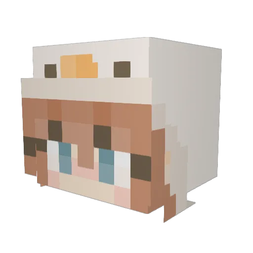 Goose2004 Minecraft avatar head, 3D render