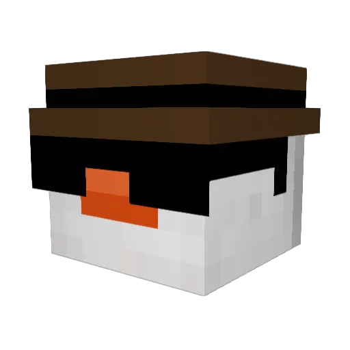 Goose270 Minecraft avatar head, 3D render