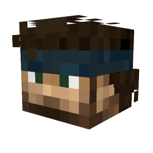 Goose37117 Minecraft avatar head, 3D render