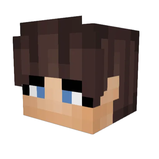 GooseFart Minecraft avatar head, 3D render