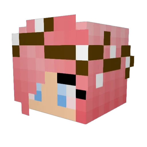 GooseHam Minecraft avatar head, 3D render