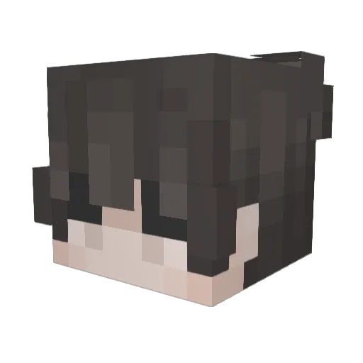 GooseNotFound Minecraft avatar head, 3D render
