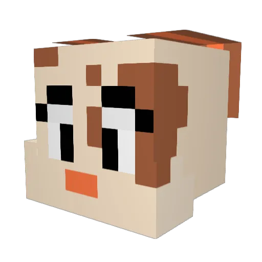 GooseOnARoof777 Minecraft avatar head, 3D render