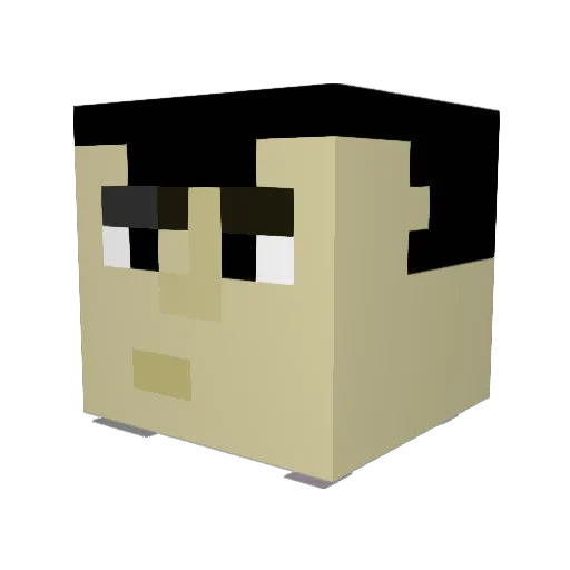 Goose_B0I Minecraft avatar head, 3D render