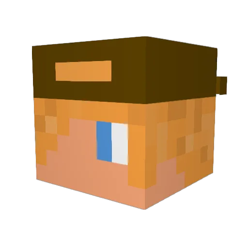 Goose_QuestionMC Minecraft avatar head, 3D render