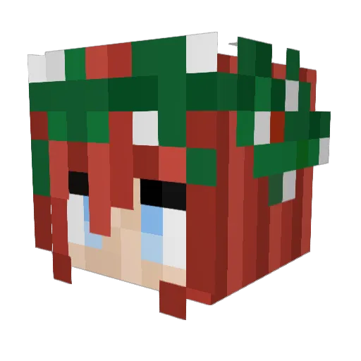 Goosebucket5282 Minecraft avatar head, 3D render