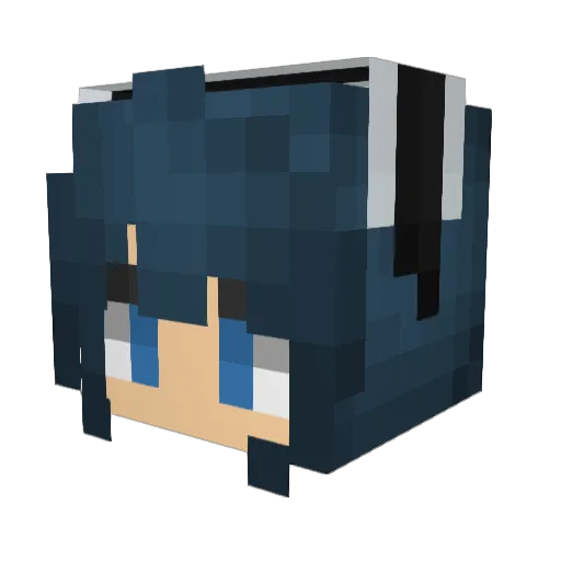 Gooseimus Minecraft avatar head, 3D render