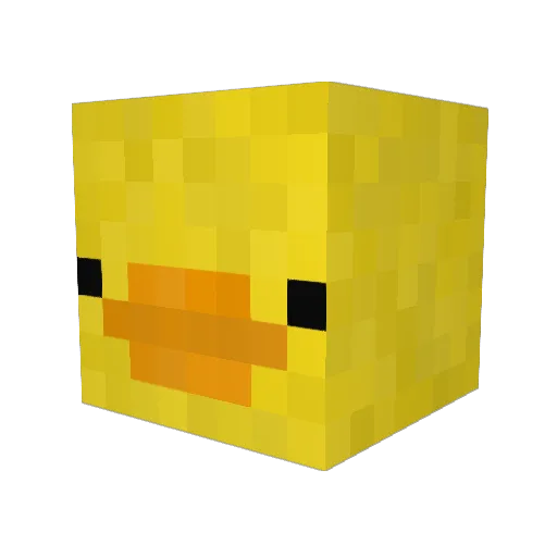 Gooserules Minecraft avatar head, 3D render