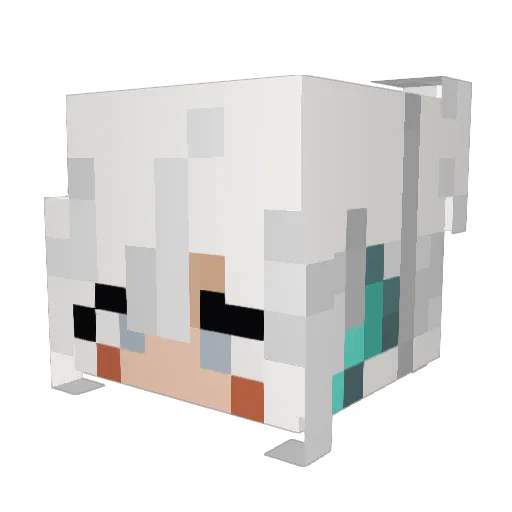 Goosetopher_ Minecraft avatar head, 3D render