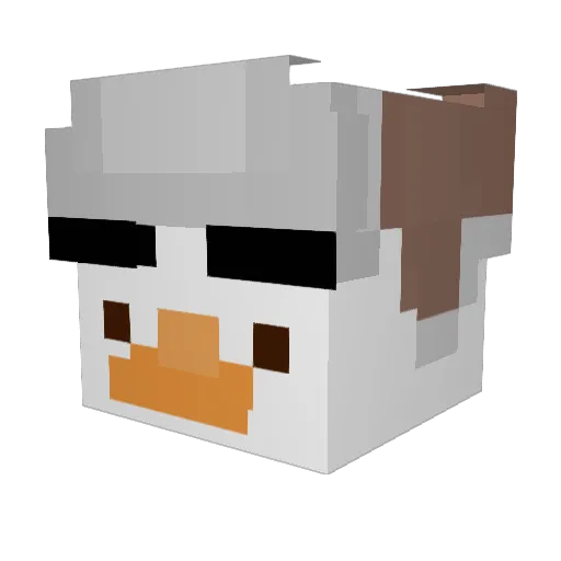 GooseyBoy35 Minecraft avatar head, 3D render