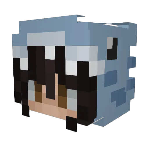 GooseyGander13 Minecraft avatar head, 3D render