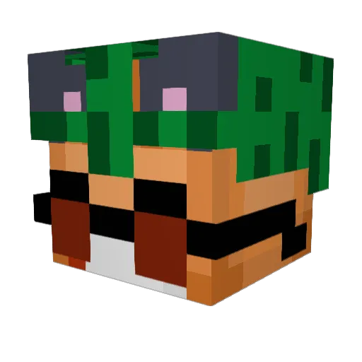 Goozel_ Minecraft avatar head, 3D render