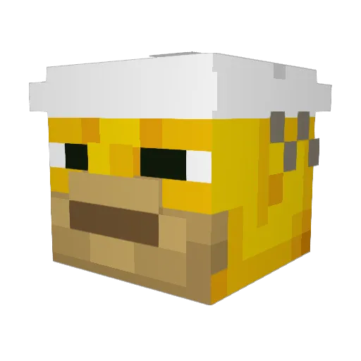 Gord0Bondiola Minecraft avatar head, 3D render
