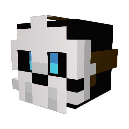 Gordon_FEETmen Minecraft avatar head, 3D render