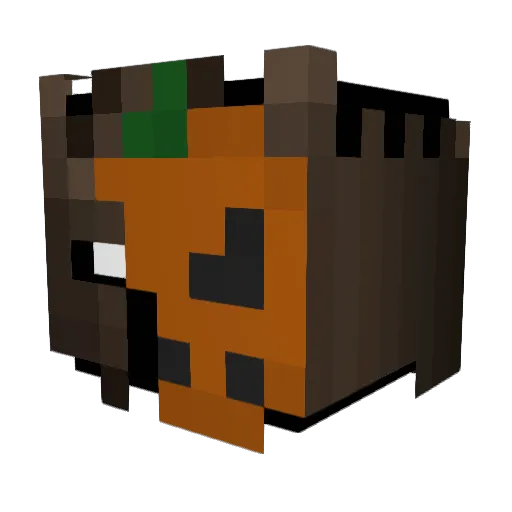 Gordox09 Minecraft avatar head, 3D render