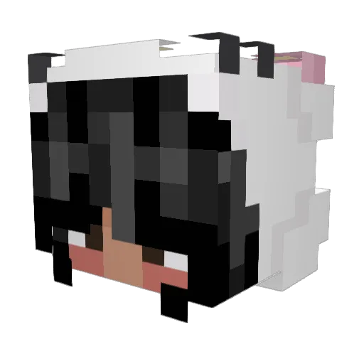 GorelloKitty Minecraft avatar head, 3D render