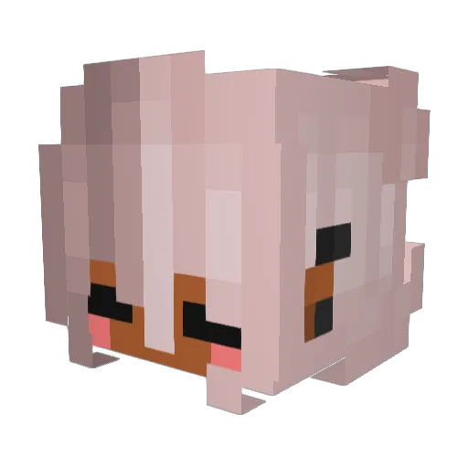 GoreyJasper Minecraft avatar head, 3D render