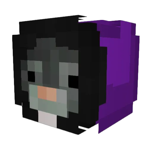 Gorg2trappy2 Minecraft avatar head, 3D render
