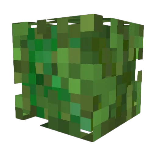 GorgeousGrass Minecraft avatar head, 3D render