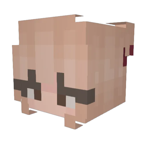 Gorgi5443 Minecraft avatar head, 3D render