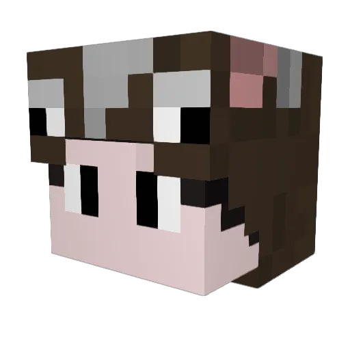 GorlockTheWizard Minecraft avatar head, 3D render