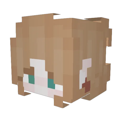 Gosha9481 Minecraft avatar head, 3D render