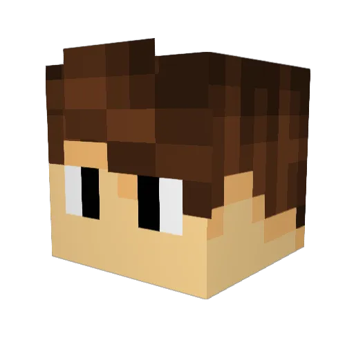 Goshann Minecraft avatar head, 3D render
