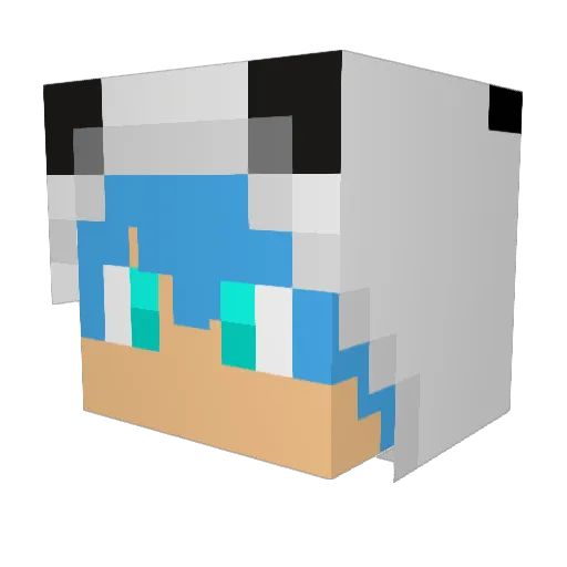 GotHackedByVovl Minecraft avatar head, 3D render