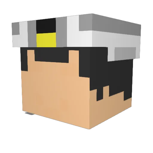 GotMilk2014 Minecraft avatar head, 3D render
