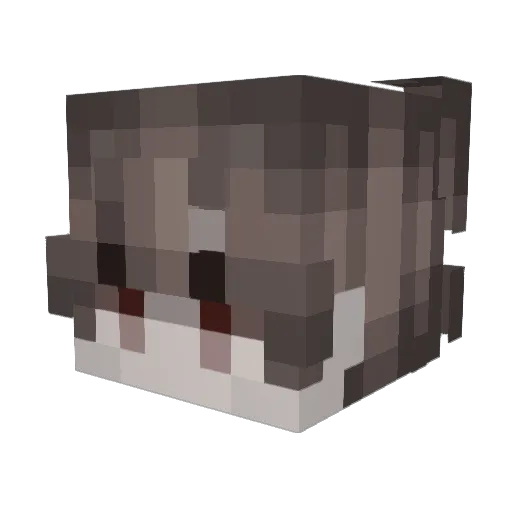 GotemBlack Minecraft avatar head, 3D render