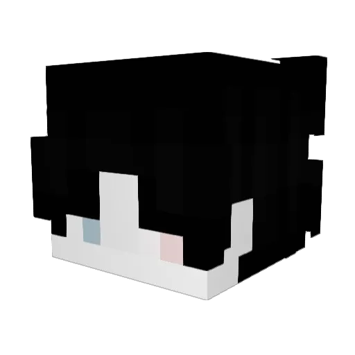 Goth22 Minecraft avatar head, 3D render