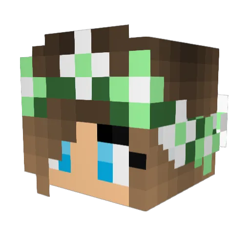 Gotham44 Minecraft avatar head, 3D render