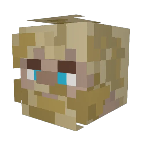 GothicHealer527 Minecraft avatar head, 3D render